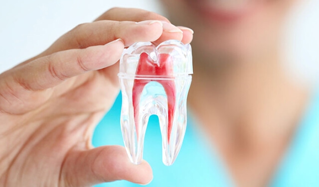 Phục hồi tủy răng