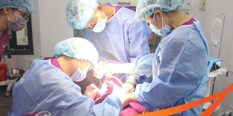 cay ghep rang implant bmt daklak